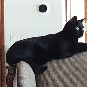 Meet your Posher, Marilyn